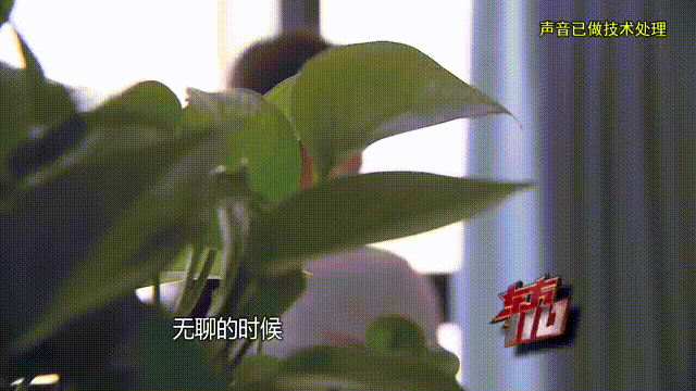 介绍个信用网址多少
_37岁痴情女子倾尽百万泡面果腹仍坚持转账：帮介绍个信用网址多少
他有种使命感